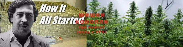 spice Балабаново