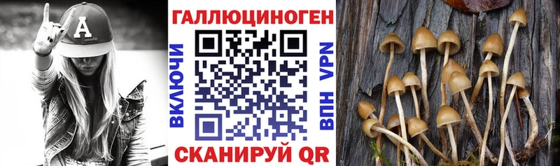 купить   Курильск  нарко площадка наркотические препараты  Псилоцибиновые грибы MAGIC MUSHROOMS 